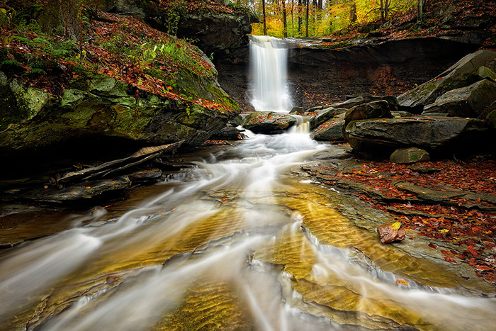 A wooded scene showcasing layered colors and compositional elements to prioritize over color alone.